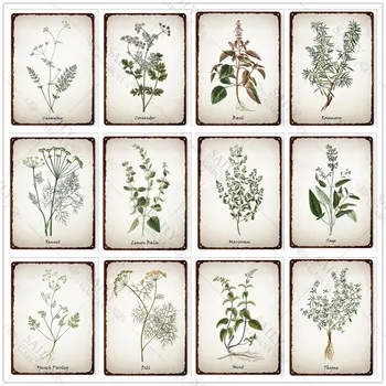 Металлические тарелки с принтом в виде трав, Винтажные иллюстрации из трав, Кулинарные растения, Ботаническая жестяная вывеска 