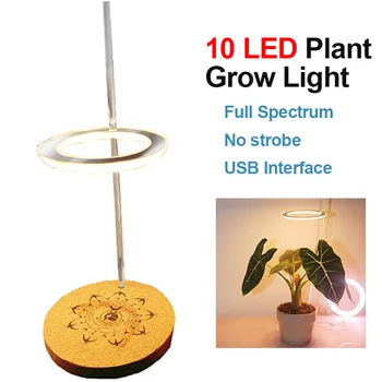 Новый светодиодный светильник Angel Ring для выращивания растений с заполняющим светом полного спектра 1/2/3 головки Опционально для комнатной фитолампы DC5V USB Home Flower Succulet